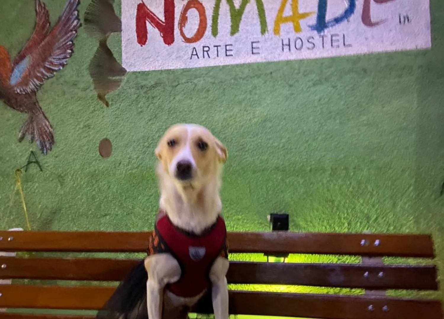 Nomade In Arte E Hostel ساو باولو