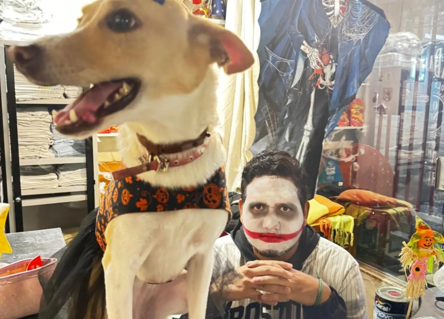Nomade In Arte E Hostel ساو باولو البرازيل